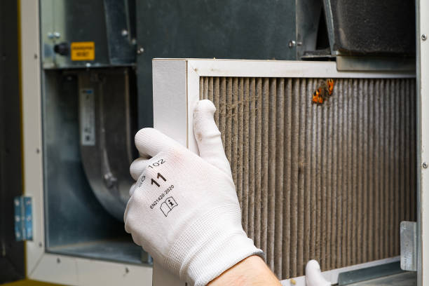 Best Best Air Duct Cleaning Near Me  in Hunter, TN