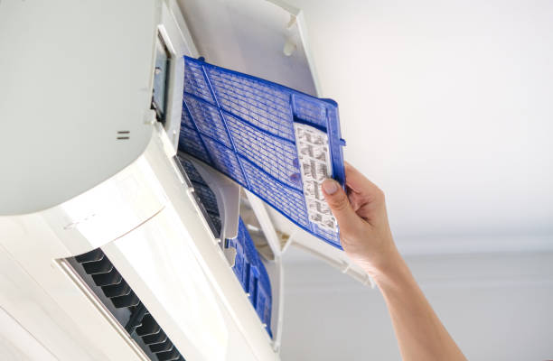 Best Professional Duct Cleaning Services  in Hunter, TN