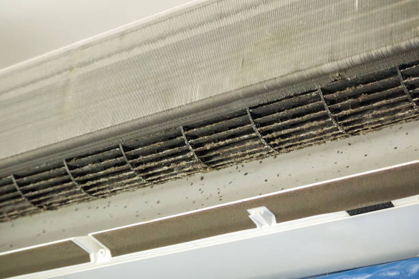 Best HVAC System Cleaning  in Hunter, TN